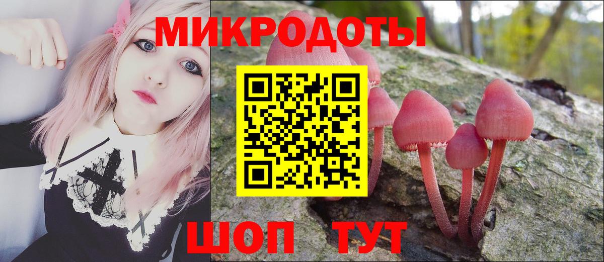 Псилоцибиновые грибы ЛСД Тула